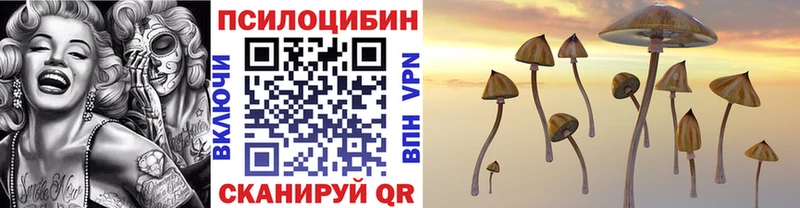 блэк спрут как войти  Спасск  Псилоцибиновые грибы Cubensis 